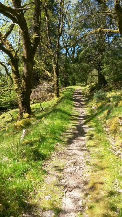 Bed and Breakfast Uircheann Righ Strontian Esterno foto