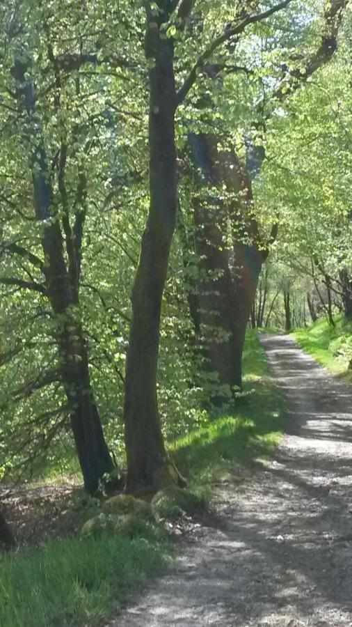 Bed and Breakfast Uircheann Righ Strontian Esterno foto